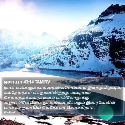 ஏசாயா 43:14 TAMIRV Bible Verse Image