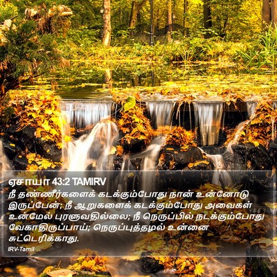 ஏசாயா 43:2 TAMIRV Bible Verse Image