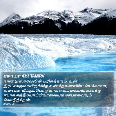 ஏசாயா 43:3 TAMIRV Bible Verse Image