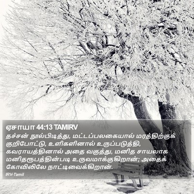 ஏசாயா 44:13 TAMIRV Bible Verse Image