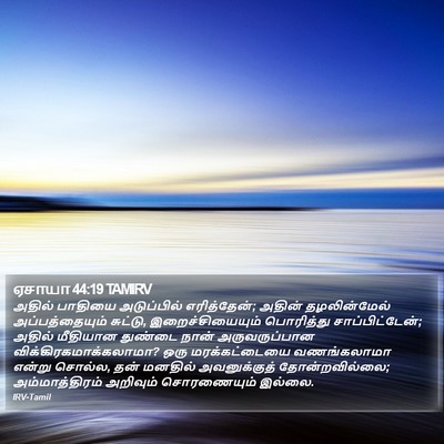 ஏசாயா 44:19 TAMIRV Bible Verse Image
