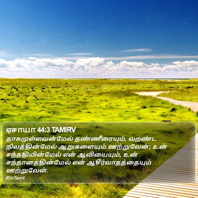 ஏசாயா 44:3 TAMIRV Bible Verse Image