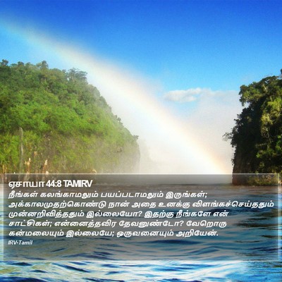 ஏசாயா 44:8 TAMIRV Bible Verse Image