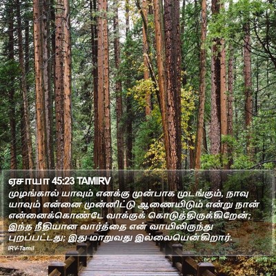 ஏசாயா 45:23 TAMIRV Bible Verse Image