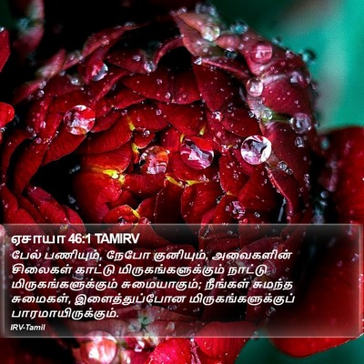 ஏசாயா 46:1 TAMIRV Bible Verse Image