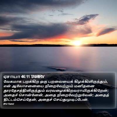 ஏசாயா 46:11 TAMIRV Bible Verse Image