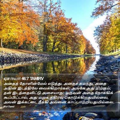 ஏசாயா 46:7 TAMIRV Bible Verse Image