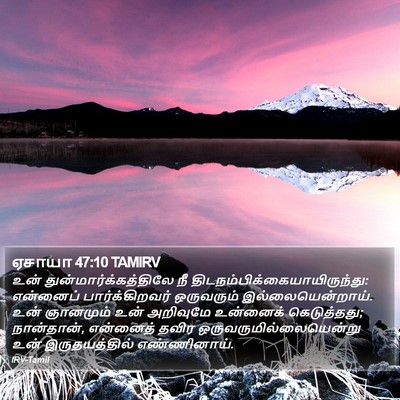 ஏசாயா 47:10 TAMIRV Bible Verse Image