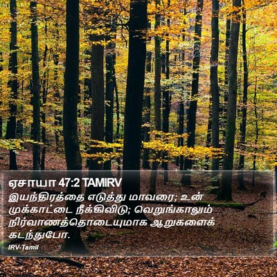 ஏசாயா 47:2 TAMIRV Bible Verse Image