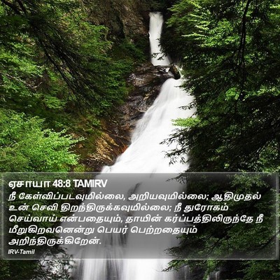 ஏசாயா 48:8 TAMIRV Bible Verse Image