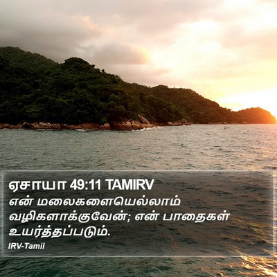 ஏசாயா 49:11 TAMIRV Bible Verse Image
