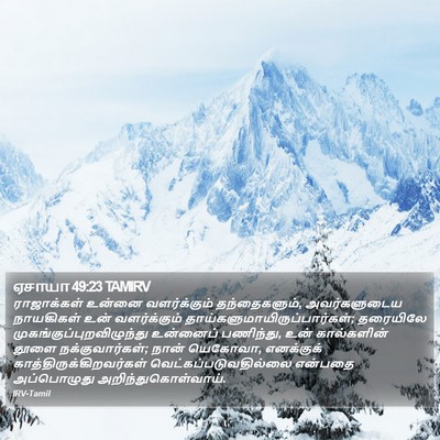 ஏசாயா 49:23 TAMIRV Bible Verse Image