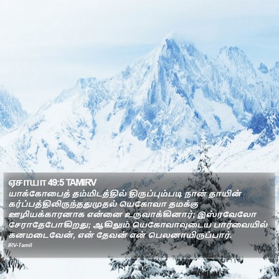 ஏசாயா 49:5 TAMIRV Bible Verse Image