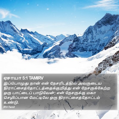 ஏசாயா 5:1 TAMIRV Bible Verse Image
