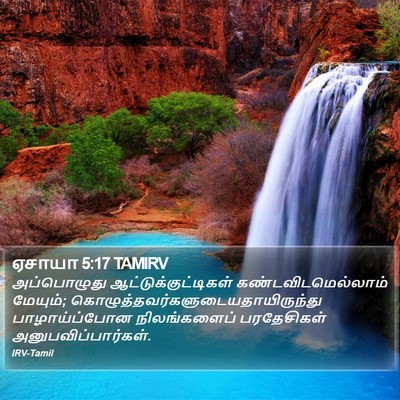ஏசாயா 5:17 TAMIRV Bible Verse Image