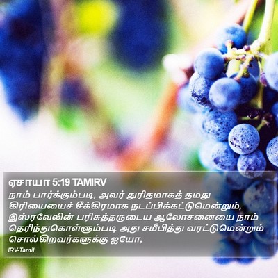 ஏசாயா 5:19 TAMIRV Bible Verse Image