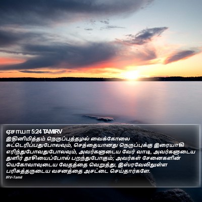 ஏசாயா 5:24 TAMIRV Bible Verse Image