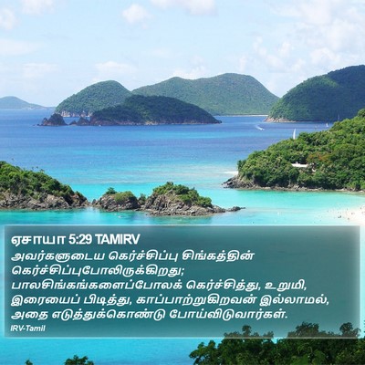 ஏசாயா 5:29 TAMIRV Bible Verse Image