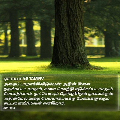 ஏசாயா 5:6 TAMIRV Bible Verse Image