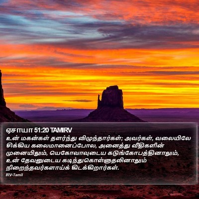 ஏசாயா 51:20 TAMIRV Bible Verse Image