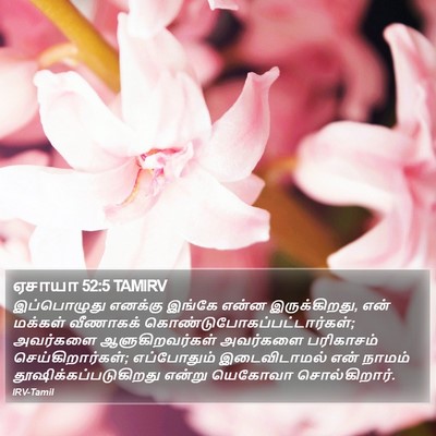ஏசாயா 52:5 TAMIRV Bible Verse Image