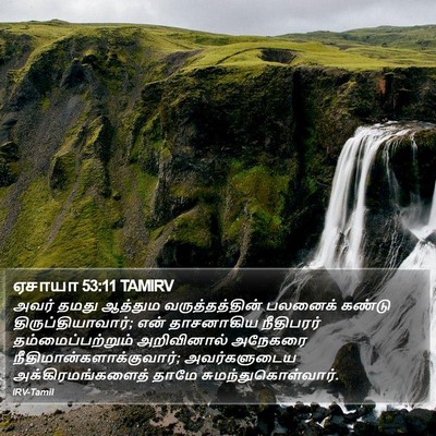 ஏசாயா 53:11 TAMIRV Bible Verse Image