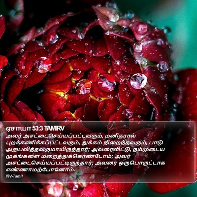 ஏசாயா 53:3 TAMIRV Bible Verse Image