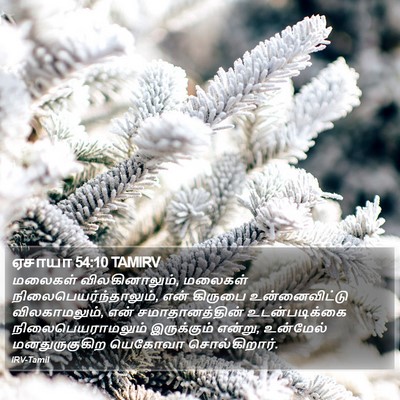 ஏசாயா 54:10 TAMIRV Bible Verse Image