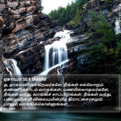 ஏசாயா 55:1 TAMIRV Bible Verse Image