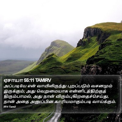 ஏசாயா 55:11 TAMIRV Bible Verse Image
