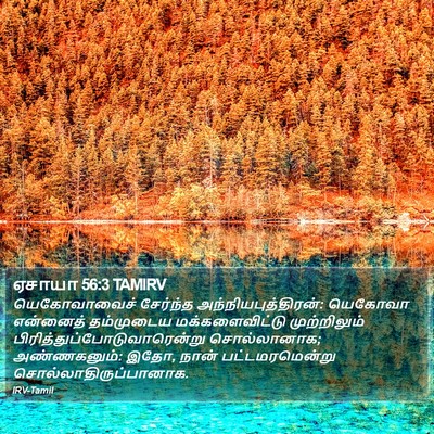 ஏசாயா 56:3 TAMIRV Bible Verse Image