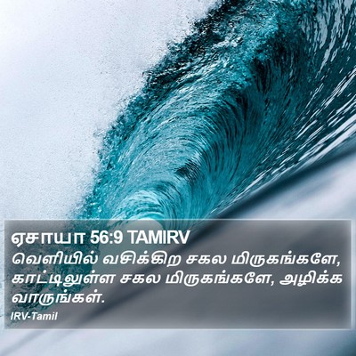 ஏசாயா 56:9 TAMIRV Bible Verse Image