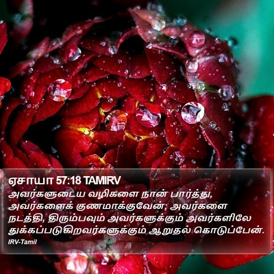 ஏசாயா 57:18 TAMIRV Bible Verse Image