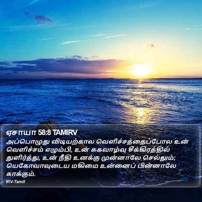 ஏசாயா 58:8 TAMIRV Bible Verse Image