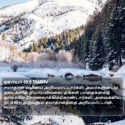 ஏசாயா 59:8 TAMIRV Bible Verse Image