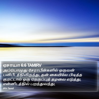 ஏசாயா 6:6 TAMIRV Bible Verse Image