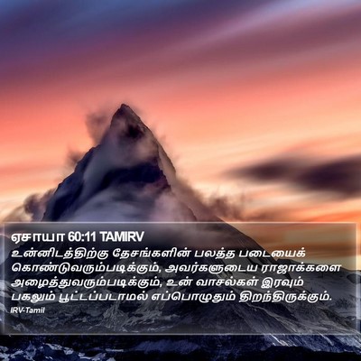 ஏசாயா 60:11 TAMIRV Bible Verse Image