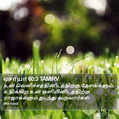 ஏசாயா 60:3 TAMIRV Bible Verse Image