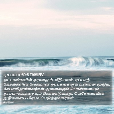 ஏசாயா 60:6 TAMIRV Bible Verse Image
