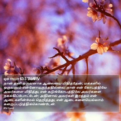 ஏசாயா 63:3 TAMIRV Bible Verse Image