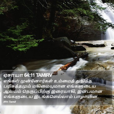 ஏசாயா 64:11 TAMIRV Bible Verse Image