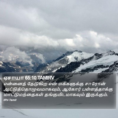 ஏசாயா 65:10 TAMIRV Bible Verse Image