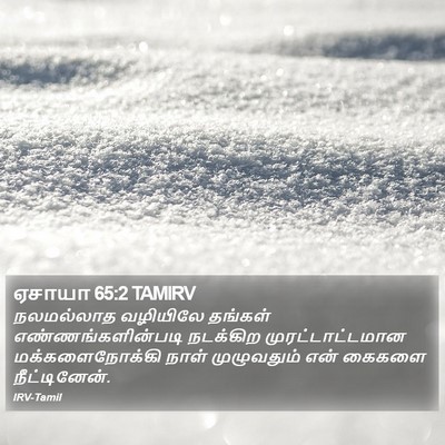 ஏசாயா 65:2 TAMIRV Bible Verse Image