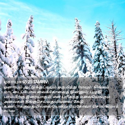ஏசாயா 65:25 TAMIRV Bible Verse Image