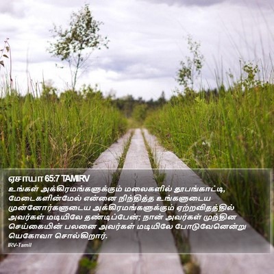 ஏசாயா 65:7 TAMIRV Bible Verse Image