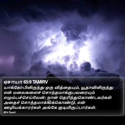 ஏசாயா 65:9 TAMIRV Bible Verse Image