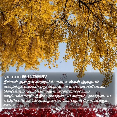 ஏசாயா 66:14 TAMIRV Bible Verse Image