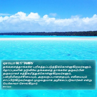 ஏசாயா 66:17 TAMIRV Bible Verse Image