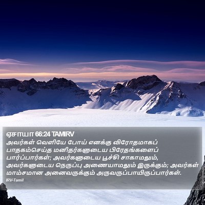 ஏசாயா 66:24 TAMIRV Bible Verse Image