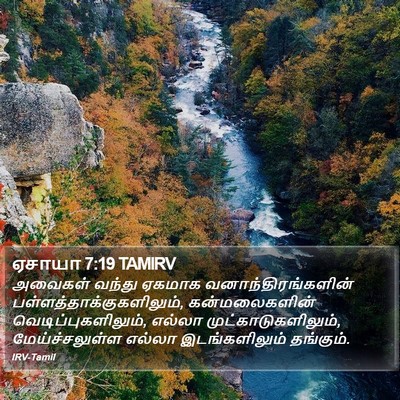 ஏசாயா 7:19 TAMIRV Bible Verse Image